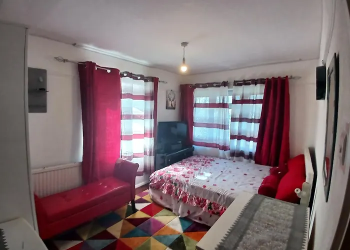 Room In Guest Room - Charming London Guest Room With Garden Bbq